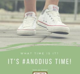 anodius-team-hiring-2019