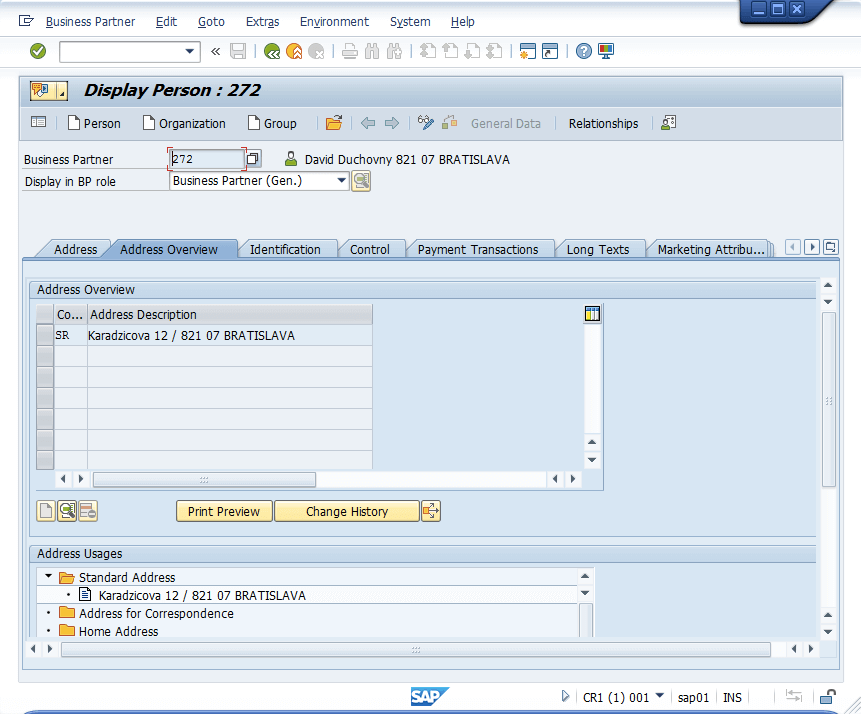 Obrazovka obchodného parnetra v klasickom SAP GUI